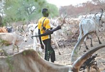 Anglican, Catholic Churches Worst Hit By Armed Herdsmen Attacks In Enugu, Lose 117 Worshippers In Eha-Amufu Communities