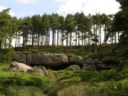 St Cuthbert’s Cave and the National Trust at its anti-Christian worst