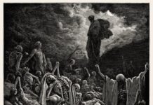 Dry Bones Revived: Null Urges Anglican Return to Augustine, Tertullian Amid GAFCON Realignment